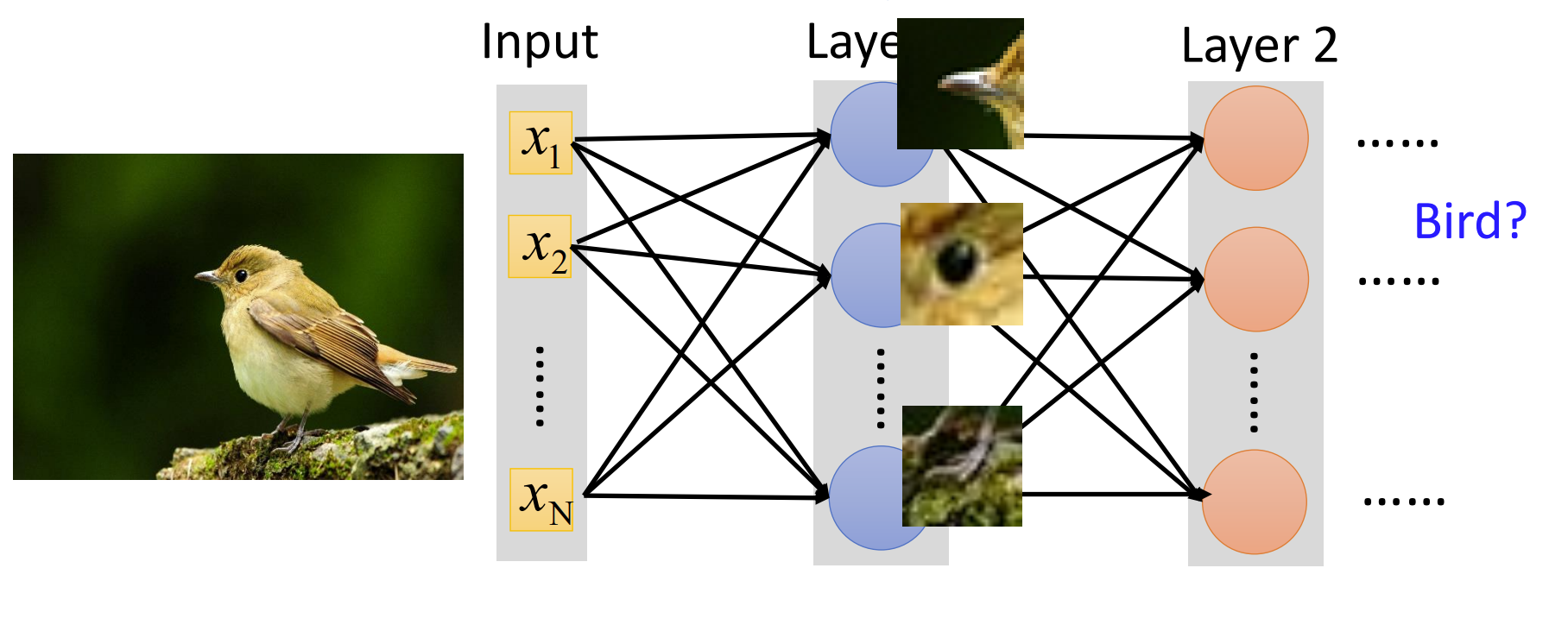 image-20210807150441076